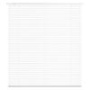 Mini Blinds 43.3" W x 48" H 1" Slat Cordless Light Filtering No-Drill Mini Blind