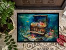 Treasure Chest Doormat Front Door Mat Indoor Outdoor Rugs for Entryway, Non Slip Washable Low Pile, 24H X 36W