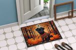 NEW Affenpinscher Fall Doormat Front Door Mat Indoor Outdoor Rugs for Entryway, Non Slip Washable Low Pile, 18H X 27W