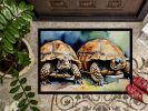 NEW Turtles Tortoises Doormat Front Door Mat Indoor Outdoor Rugs for Entryway, Non Slip Washable Low Pile, 18H X 27W