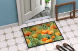 NEW California California Poppies in Watercolor Doormat Front Door Mat Indoor Outdoor Rugs for Entryway, Non Slip Washable Low Pile, 18H X 27W