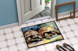 NEW Turtles Tortoises Doormat Front Door Mat Indoor Outdoor Rugs for Entryway, Non Slip Washable Low Pile, 18H X 27W