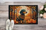 Dachshund Fall Doormat Front Door Mat Indoor Outdoor Rugs for Entryway, Non Slip Washable Low Pile, 24H X 36W